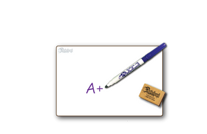 BLANK UNLINED DOUBLE SIDED DRY ERASE,  3" x 9" Student Whiteboards - MC0309-2x